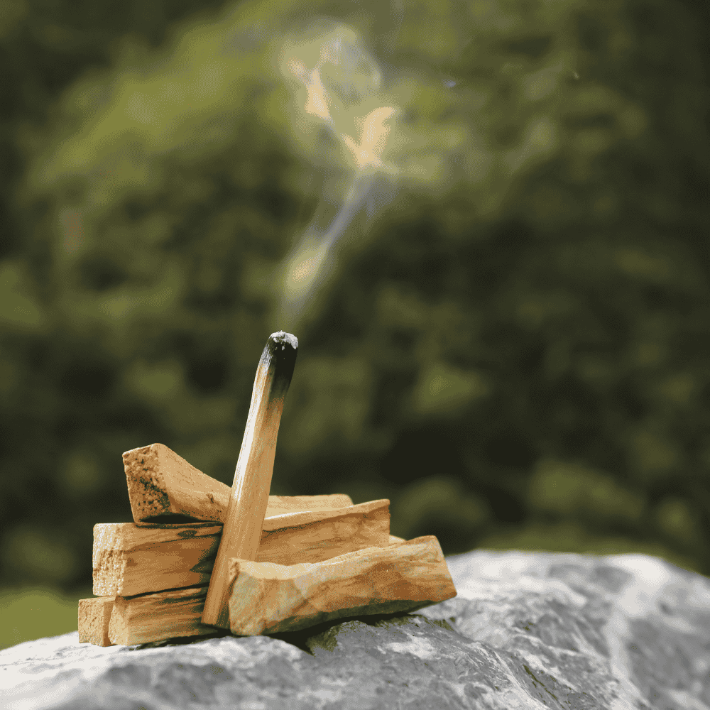 How Many Times Can You Use a Palo Santo Stick? - Bella Forever
