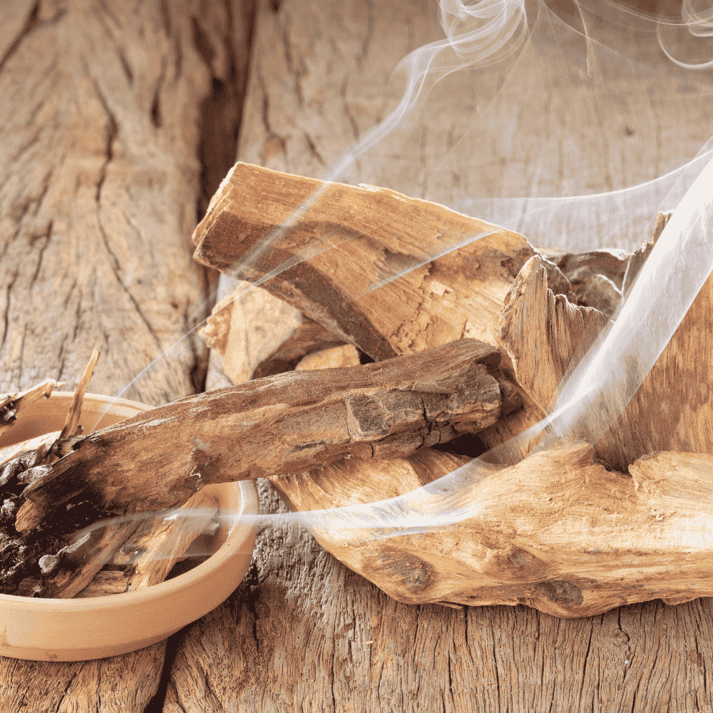 What does burning palo santo do spiritually?