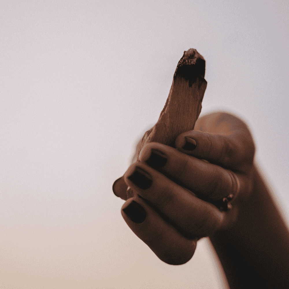 50g Green Tree Palo Santo Sticks 5–8 Pack - Bella Forever