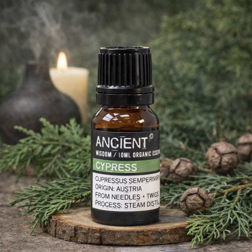 Cypress Organic Essential Oil 10ml - Bella Forever