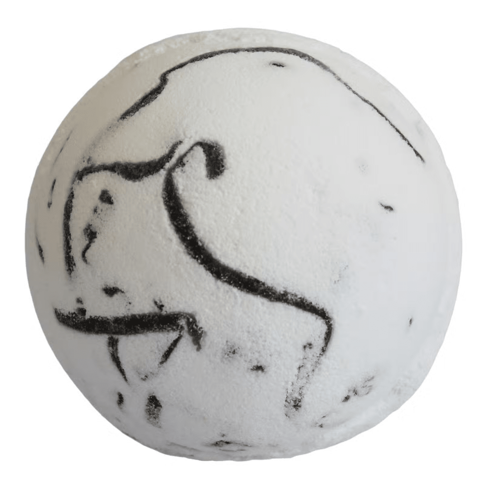 Dragon Fruit - Tropical Paradise Coco Bath Bomb - Bella Forever