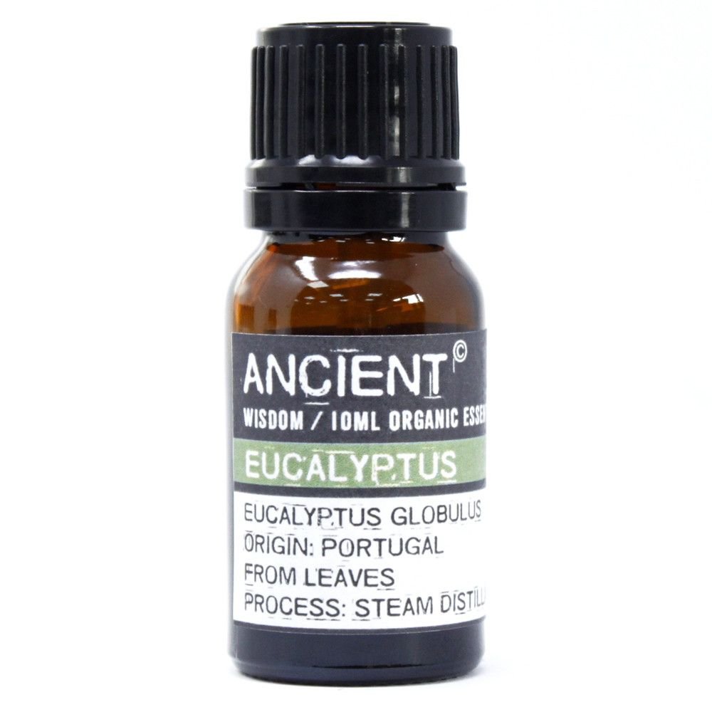 Eucalyptus Organic Essential Oil 10ml - Bella Forever