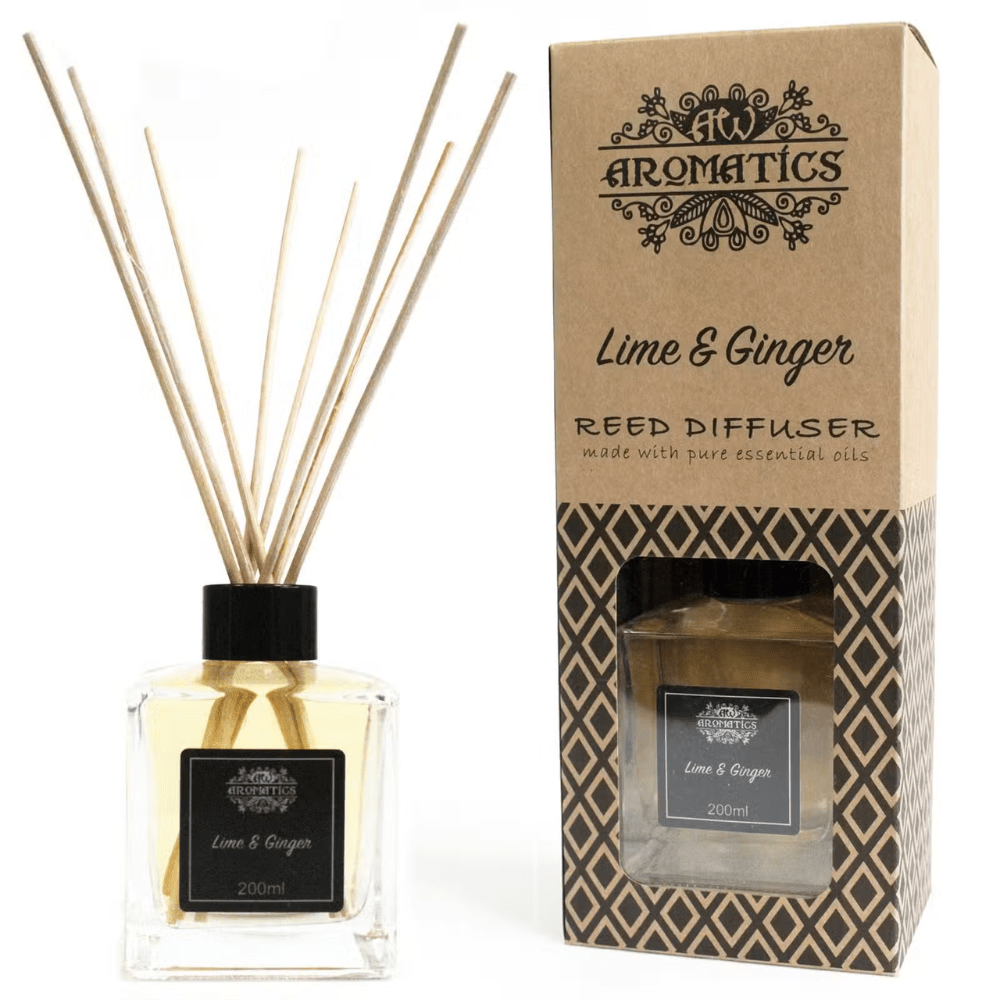Lime & Ginger Essential Oil Reed Diffuser - Bella Forever