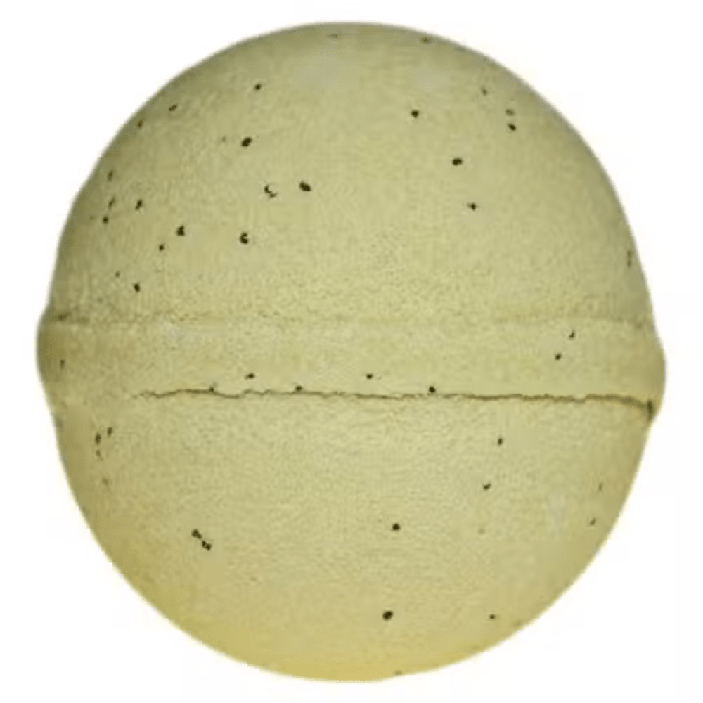Set of 3 Simply Vanilla Jumbo Bath Bombs - Bella Forever